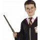 Déguisement Harry Potter Enfant et Accessoires Harry Potter