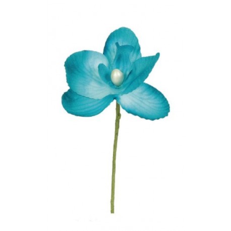 Orchidee Turquoise Sur Tige
