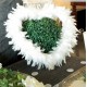 Coeur en Plumes 38 cm de Decoration mariage et fete
