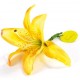 Fil metallique de decoration 20 metres deco fleur marque place