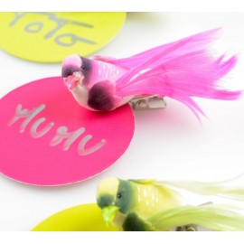 Oiseaux Fuschia en Plumes sur Pince 6.5 cm les 4