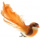 Oiseau Orange en Plumes sur Pince 12 cm les 2