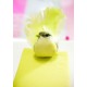 Oiseau Vert Anis en Plumes sur Pince 12 cm les 2