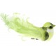 Oiseau Vert Anis deco en Plumes sur Pince grand oiseau