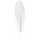 Plume blanche décorative 16 cm les 6