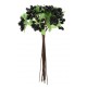 Baies Noires Avec Feuilles en Bouquet sur Tige les 12