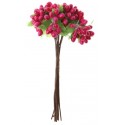 Baies fuchsia en bouquet sur tige les 12