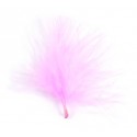 Plumes de Couleur Rose les 20