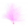 Plumes de Couleur Rose les 20